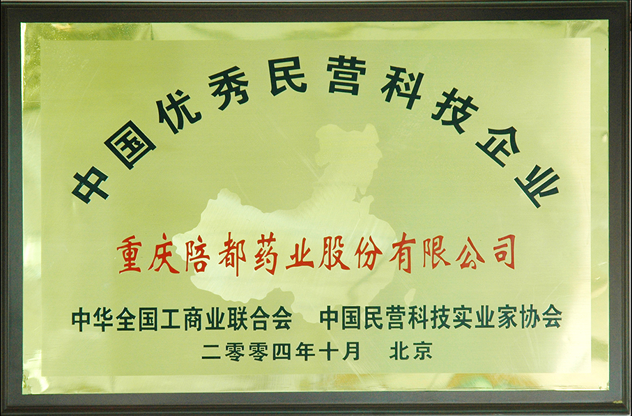 12.中国优秀民营科技企业.jpg